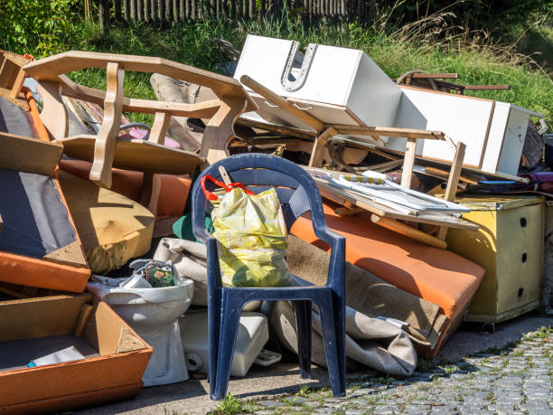 Best Dumpster Rental Services  in Bamberg, SC